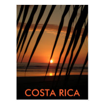 Palm Sunset,  COSTA RICA Post Card