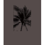 Palm Tee t-shirts