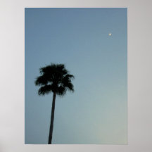 Palm Tree Against the Sky Posters