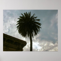 palm tree and clouds posters