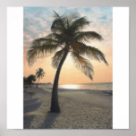 Palm Tree at Sunset Print