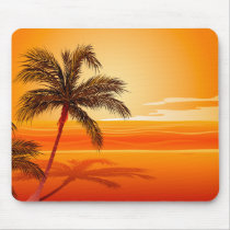 Palm Tree Beach Sunset