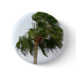 Palm Tree Blowing In The Wind buttons