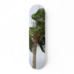 Palm Tree Blowing In The Wind skateboards