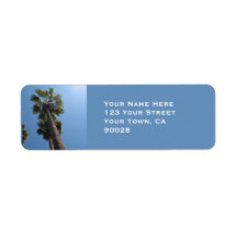 palm tree blue sky custom return address label