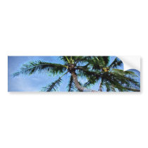 Palm Tree Bumper Stickers