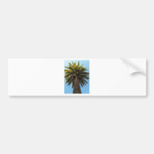 Palm Tree Bumper Stickers