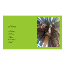 Palm Tree Business Card Template