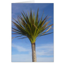 palm tree cards