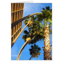 Palm Tree Cards