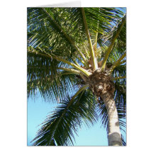 Palm Tree Cards