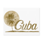 Palm Tree Cuba Postcard