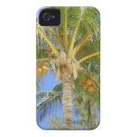 Palm Tree Dreams iPhone 4 Case-Mate Cases
