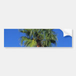 Palm Tree From Spain Bumper Stickers