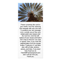 Palm Tree From Under 2 rack cards