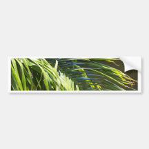 Palm tree Fronds Bumper Sticker