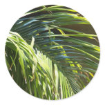 Palm tree Fronds Stickers