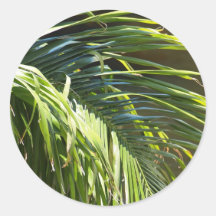 Palm tree Fronds Stickers
