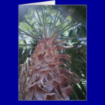 Palm Tree Greeting Card cards
