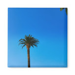 Palm Tree magnets
