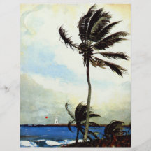 'Palm Tree-Nassau' Full Color Flyer