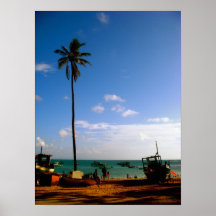 Palm tree on the Beach Posters