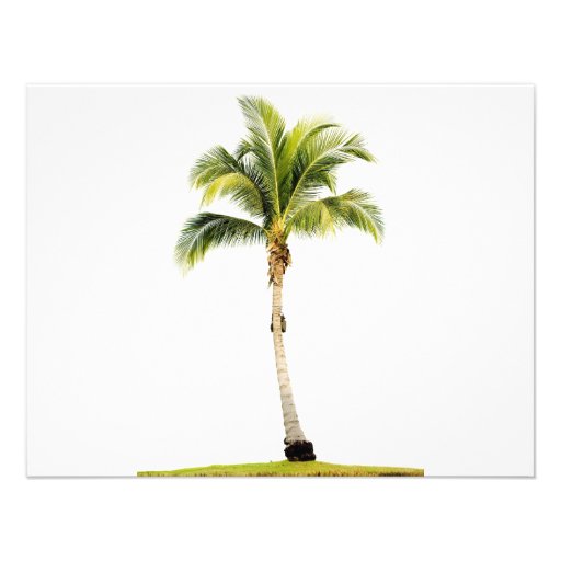 Palm tree personalized invites