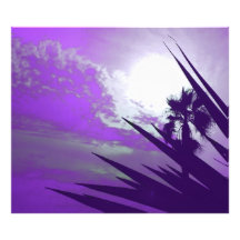 palm tree photo art