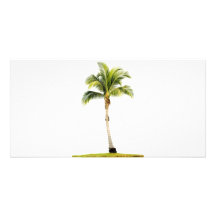 Palm tree photo cards