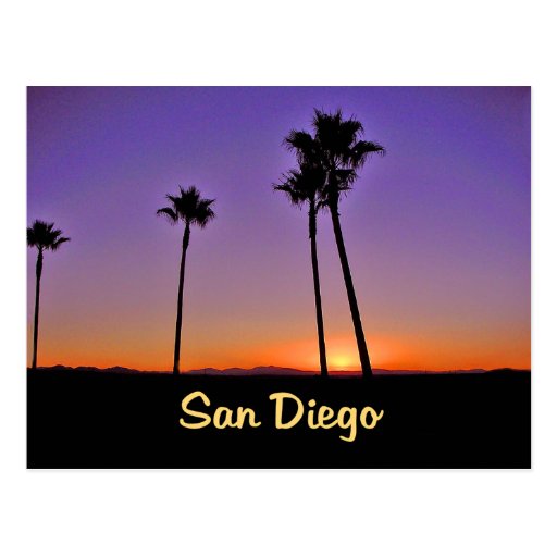 Palm Tree Silhouette In San Diego Post Card