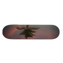Palm Tree Skate Decks