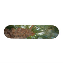 Palm Tree Skateboards
