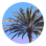 palm tree sticker