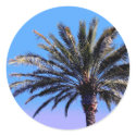 palm tree stickers