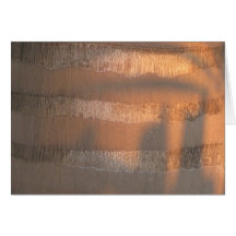 Palm Tree Sunrise - Chennai, India Card