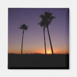 Palm Tree Sunset Fridge Magnets