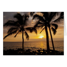 Palm tree sunset greeting card