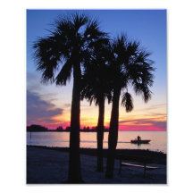Palm Tree Sunset Photo Print