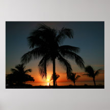 Palm Tree Sunset Posters