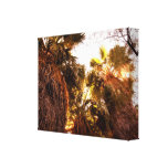 Palm Trees 14x11 Wrapped Canvas Gallery Wrapped Canvas