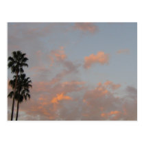 Palm Trees and Pink Clouds Blank Art Postcard postcards
