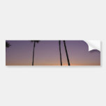 Palm Trees And Sunrises Bumper Stickers