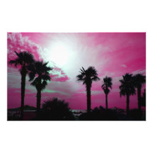 palm trees art photo