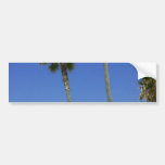 Palm Trees At Venice Beach Bumper Stickers