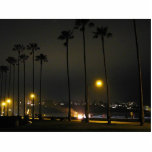 Palm Trees Beaches Night La Jolla Photo Cut Outs