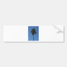 Palm Trees Bumper Sticker