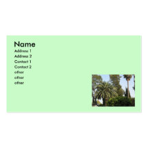 palm trees business card template