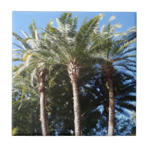 Palm Trees Ceramic Tiles