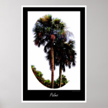 Palm Trees Graphic Poster