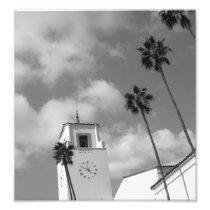 Palm Trees in Los Angeles Photograph